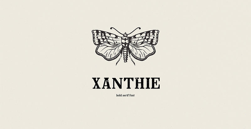 Xanthie效果预览