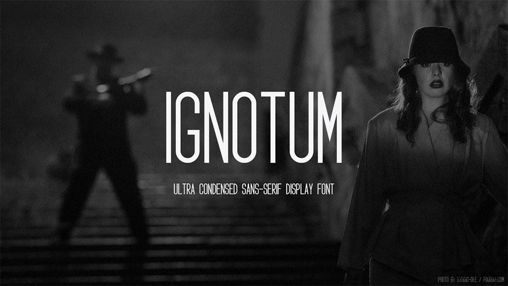 Ignotum效果预览